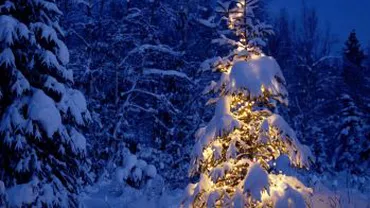 Crăciunul în lume: VEZI cum petrec islandezii, britanicii sau francezii nașterea Domnului (VIDEO)