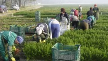 Românii din Spania se gândesc să se întoarcă în țară. Autoritățile de la Madrid au anunțat măsuri economice drastice în 2012