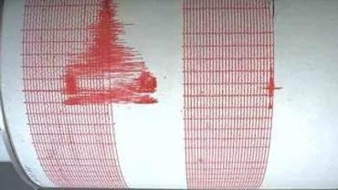 Un cutremur cu magnitudinea de 3,1 a avut loc în zona Vrancea