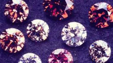 Arad: Bijuterii în valoare de 45.000 de dolari, furate dintr-un apartament. Principalul suspect a fost reținut