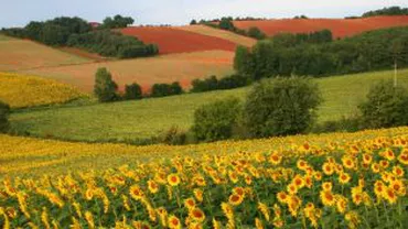 “Nu ne (mai) vindem țara”: România nu mai vrea să vândă pământ nerezidenților