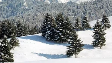Risc maxim de avalanșă în Bucegi: Telecabina din Bușteni a fost oprită