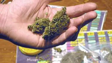 Trei bărbați din Pitești, prinși în flagrant în timp ce vindeau cannabis și ciuperci halucinogene