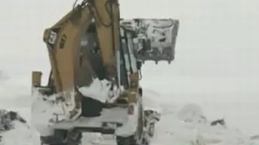 Mai multe sate din județele Ialomița și Călărași sunt complet izolate din cauza zăpezii și a viscolului