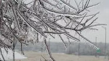ANM: Ninsori abundente, vânt de până la 45 de km/h și temperaturi de până la -10 grade în sudul țării. Vezi prognoza meteo