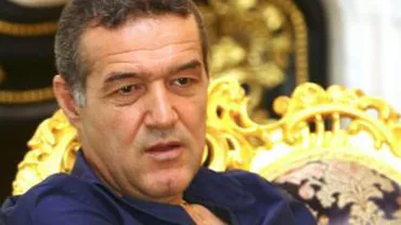 Becali: M-am aliat cu PDL la locale, l-am susţinut pe Liviu Negoiţă la Primărie, dar nu el va fi candidatul