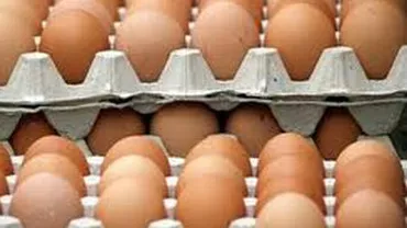 Prețul ouălor a crescut după introducerea normelor europene privind creșterea găinilor