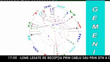 O bătrână din Cehia, ucisă de cei 25 de câini Rottweiler pe care îi creștea în locuință