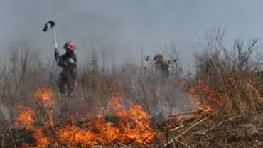 Incendiu de vegetație în aria protejată Biosfera Delta Dunării: Focul a fost stins după aproape 9 ore