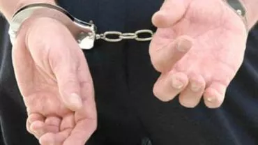 Gheorghe Vlădan, arestat preventiv pentru 29 de zile