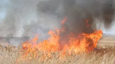 Caraș-Severin: Peste 30 de hectare de vegetație au ars în apropiere de Oravița