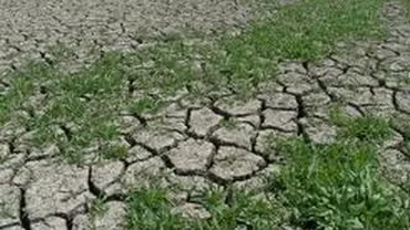 Ion Sandu (ANM): Dacă nu plouă la finele lunii aprilie şi în luna mai, vom avea un an agricol mai greu decât în 2007