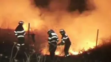 Incendiu de vegetație la Iași: Flăcările s-au extins la poligonul de tragere Sorogari