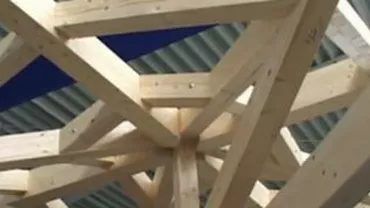 Târg de case eco la Arad: Locuințe izolate cu hârtie de ziar sau stâlpi de iluminat ecologici, printre soluțiile oferite de dezvoltatori (VIDEO)