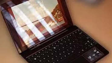 A dat 1.100 lei pe trei cartofi. Vezi cum a fost înșelată o bucureșteancă la achiziția online a unei tablete