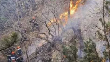 Vâlcea: Un incendiu a avut loc într-o pădure de conifere care aparţine Ocolului Silvic Privat Cozia - Negoiu