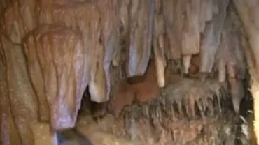 O peșteră din Bihor ascunde minunății unice în țară (VIDEO)