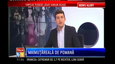 Compania Rosal, deținută de Honorius Prigoană, contract de 700.000 dolari pe lună pentru salubrizarea Irakului