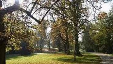 Temperaturi în creștere în următoarele două săptămâni. Vezi cum va fi vremea de Paște