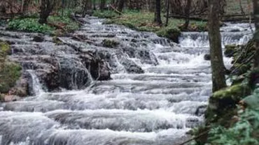 Pericol de inundație pe râul Caraş, după ce cotele au fost depăşite cu 3 centimetri