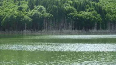 Un tânăr de 17 ani, dat dispărut într-un lac din Bistriţa