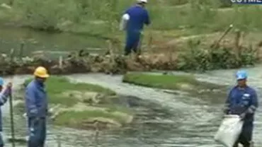 Unda de poluare de pe râul Cotmeana a trecut de baraje: Pata de petrol se întinde pe 15 kilometri