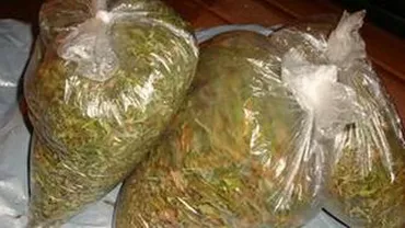 Argeș: Traficant de droguri, reținut pe autostrada A1 cu 4,5 kilograme de cannabis asupra sa