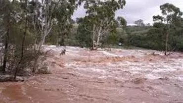 Vrancea: Autoritățile cer instituirea stării de alertă. Cod portocaliu de inundații în patru județe