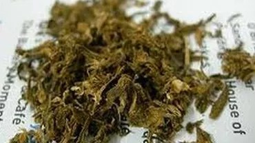 Plantație de cannabis, descoperită în centrul Constanței: Autorii nu au fost încă identificați