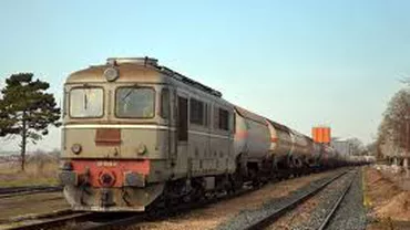 Patru algerieni ascunşi sub maşini într-un tren de marfă, prinşi de poliţiştii de frontieră din Arad