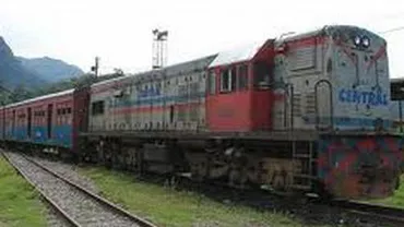 O locomotivă s-a răsturnat în zona gării Timişul de Jos. Nicio persoană nu a fost rănită