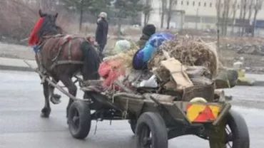 Copil de 11 ani, cercetat pentru ucidere din culpă: O femeie a murit din cauză că băiatul conducea neatent căruța