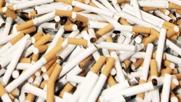 Timiș: Polițiștii au descoperit peste 20.000 de pachete de țigări de contrabandă din Serbia