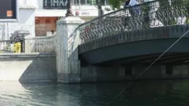 Un tânăr de 20 de ani a căzut în râul Damboviţa, în zona podului Grozăveşti