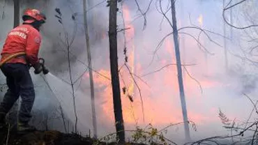 Harghita: Incendiul de pădure s-a extins. S-a cerut ajutorul militarilor și jandarmilor