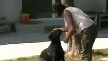 Făt mort, descoperit în albia unui pârâu de câinele unei localnice din Băile Govora