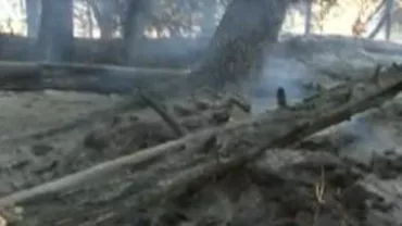 Incendiu de vegetație în Parcul Național Ceahlău: Există pericolul ca flăcările să se extindă spre pădure
