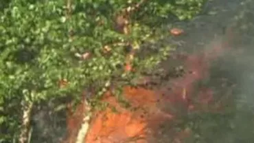 Incendii de pădure și de vegetație în județul Harghita: 20 de hectare au fost cuprinse de flăcări