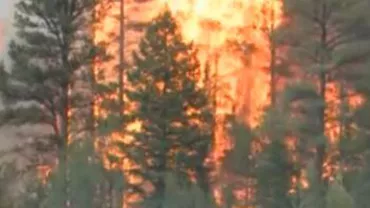 Pentru stingerea incendiului din Bucegi se va interveni cu un avion al unei firme private