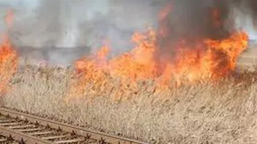 Peste o sută de hectare de pădure au ars în judeţul Harghita