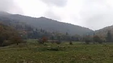 Incendiul de vegetaţie din Cheile Râșnoavei a reizbucnit. Se intervine cu un elicopter