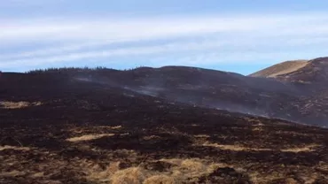 Incendiul izbucnit într-o zonă de munte din nordul județului Prahova s-a extins: Ard 140 de hectare