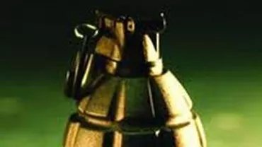 Două grenade în stare de funcționare, descoperite în curtea unui bărbat din Botoșani