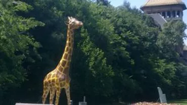 Muzeul Antipa va restaura girafa din fața muzeului, distrusă de vandali, și o va include într-o scenografie pe peluză