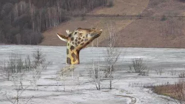 ”Girafa antipatică”: Simbolul vandalizat al Muzeului Grigore Antipa are cont pe Facebook (FOTO)