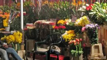 Razie în Piața George Coșbuc din Capitală: Sunt verificați vânzătorii de flori înaintea începerii anului școlar