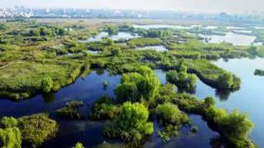 Lacul Văcărești, mica deltă din Capitală, loc de relaxare pentru  bucureșteni