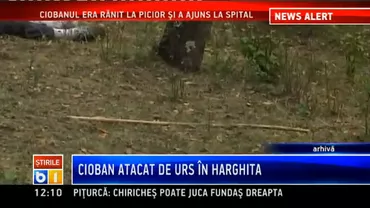Un câine a reușit să-și salveze viața după ce a sunat la Urgențe