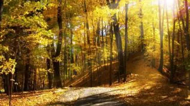 Vreme relativ călduroasă în primul weekend din luna octombrie. Vezi prognoza meteo