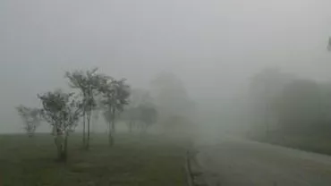 Avertizare de cod galben de ceață pentru București și 5 județe din sudul țării